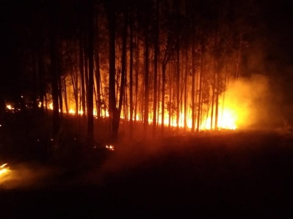 Foto: Ponto da Notícia