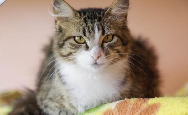 (Foto: Divulgação)