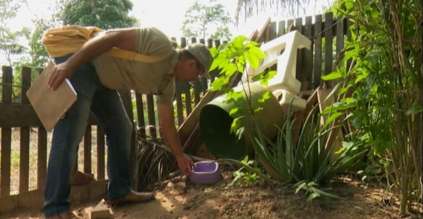 Recomendação do secretário de Saúde é para eliminar criadouros do mosquito da dengue — Foto: Pâmela Fernandes/G1