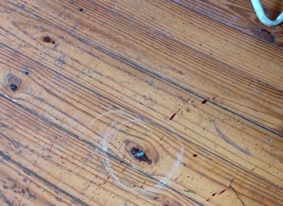 Projétil encontrado no local – Foto PM