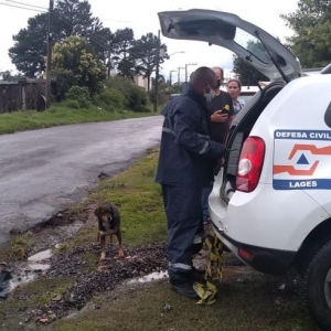 Defesa Civil distribuiu lonas em Lages para residências destelhadas por vento — Foto: Defesa Civil de Lages/Divulgação