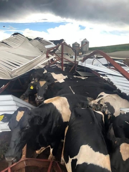 Fotos: Divulgação/RBJ