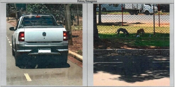 Prefeitura de Maringá aplicou multa a moradora após fotos do veículo serem entregues junto com a denúncia — Foto: Reprodução/RPC