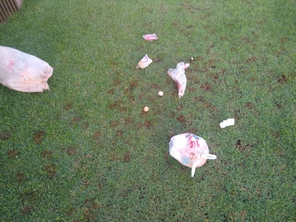 Imagens do lixo espalhado. (Foto: Arquivo Pessoal)