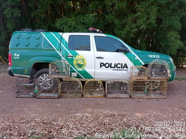 Fotos: Polícia Ambiental do Paraná