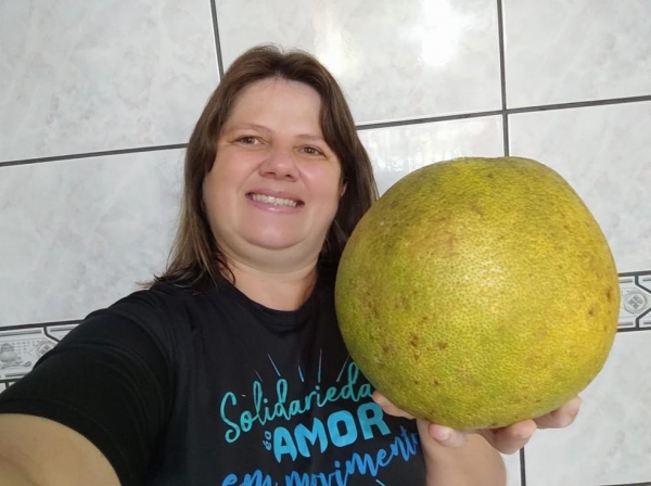 Laranja com mais de 3 quilos foi encontrada por moradora de Joinville (SC) — Foto: Marciana Maria Cristofolini Tamazzia / Arquivo Pessoal