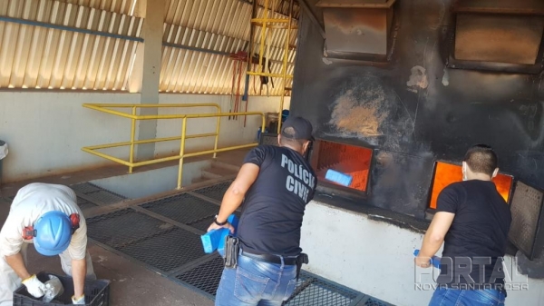 Fotos: Portal Palotina