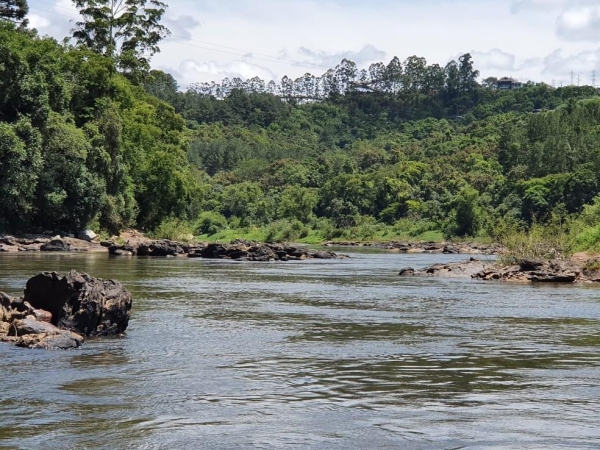 Trecho do Rio Tibagi, em Telêmaco Borba — Foto: Arquivo pessoal