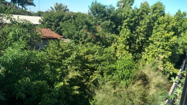 Foto do terreno abandonado. (Foto: Arquivo Pessoal)