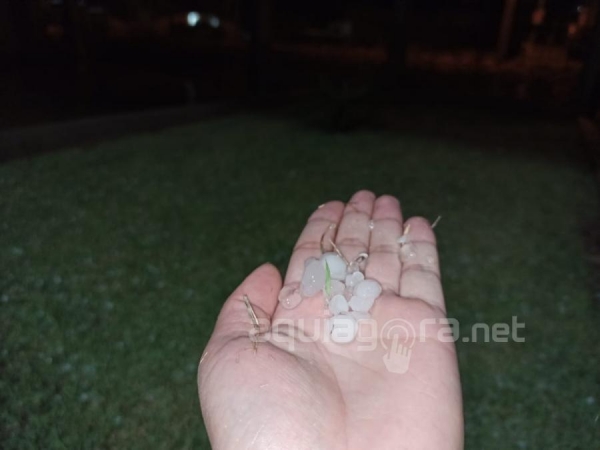 Fotos: Aqui Agora