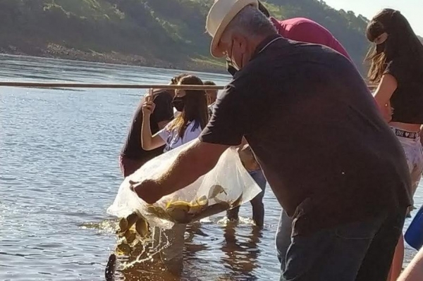 Somente no último final de semana 60 mil alevinos de pacus foram soltos no Clube de Pesca Amambay, em Foz do Iguaçu.(Foto:AEN) 
