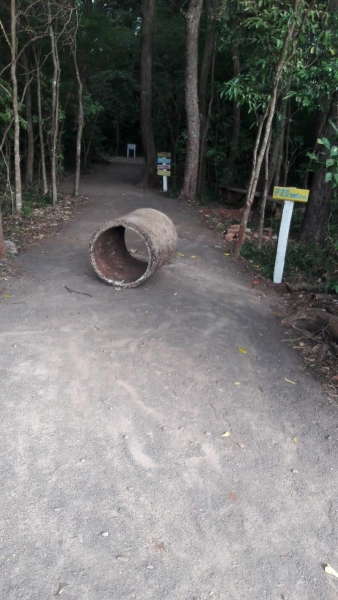 O lugar está sendo alvo de vândalos. (Foto: Arquivo Pessoal)