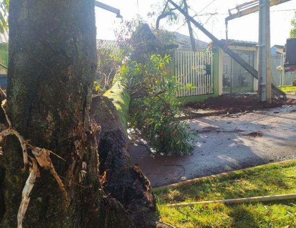  Fotos: Adiel Soares - Toledo News