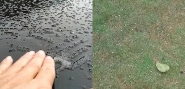 Chuva congelada em Enéas Marques e Renascença (Foto: PP News)