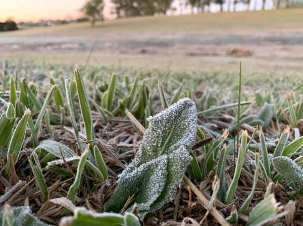 Guarapuava registrou geada e temperaturas negativas nesta segunda-feira (19) — Foto: William Batista/RPC Guarapuava