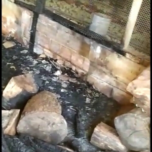 Incêndio de aviário em Nova Santa Rosa. (Foto: Divulgação)