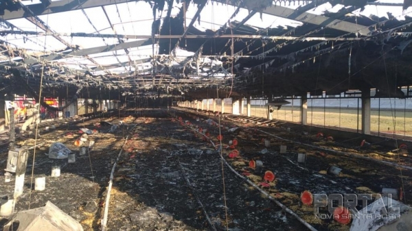Incêndio de aviário em Palotina. (Foto: Divulgação)