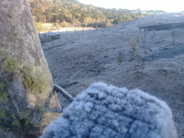 Campo em Bituruna amanheceu coberto de gelo — Foto: Patrícia Luana Viapina/VC na RPC