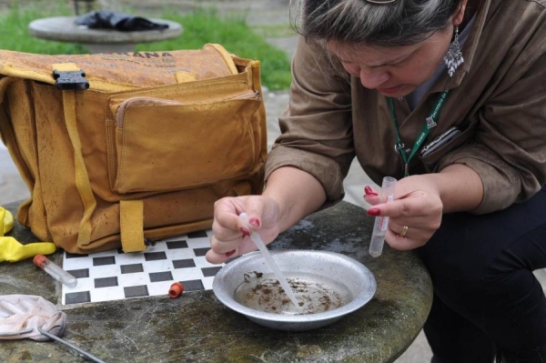 Principal criadouro do mosquito da dengue está nos domicílios (Foto: Arquivo AEN )