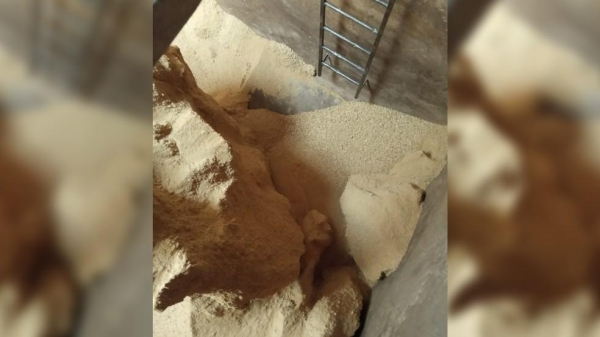 Acidente acontece enquanto adolescente trabalhava, em Matelândia — Foto: Divulgação/Polícia Civil