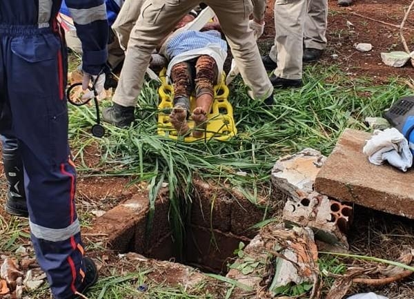 Guarda Municipal chegou ao local após denúncia na sede operacional, em Londrina — Foto: Guarda Municipal/Divulgação