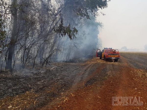 Fotos: Gustavo Fossá/Portal Palotina