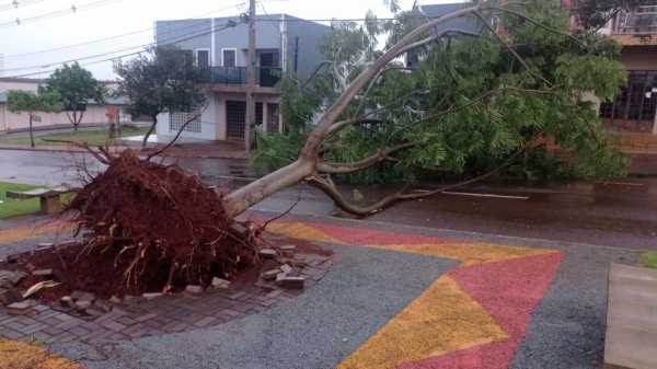 Fotos: Bogoni/Radar B.O.