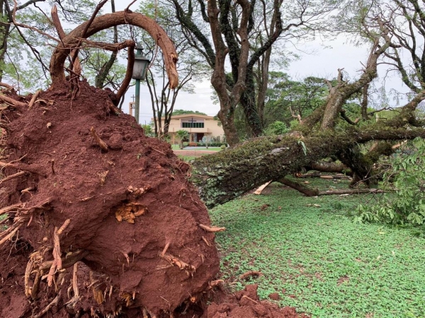 Fotos: Portal Nova Santa Rosa