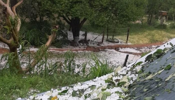 Fotos: Portal Cantu/Internet