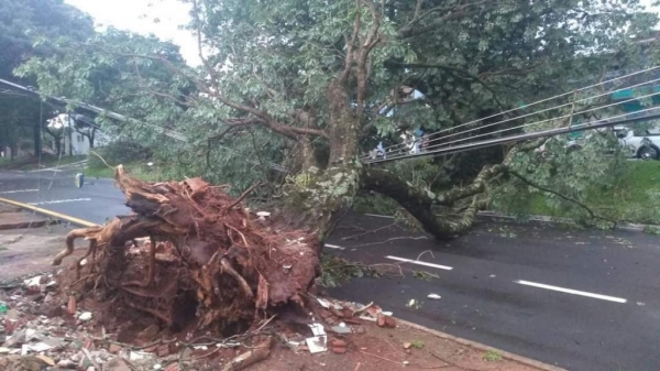 Foto: Mangueirinha On Line