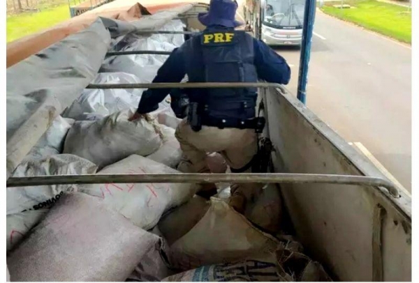 Foto: Campo Grande News/PRF