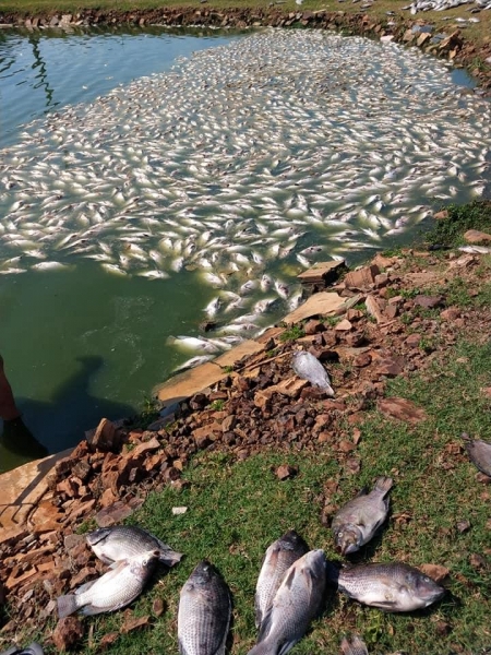 Foto: Arquivo Pessoal
