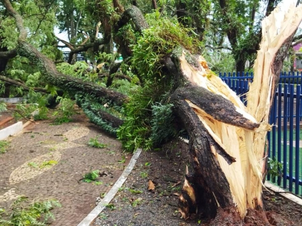 Temporal deixa estragos em Pato Bragado (Foto: Jonas Kempp/AquiAgora.net )