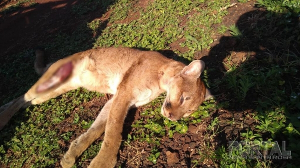 Foto: Arquivo pessoal/Colaboradora
