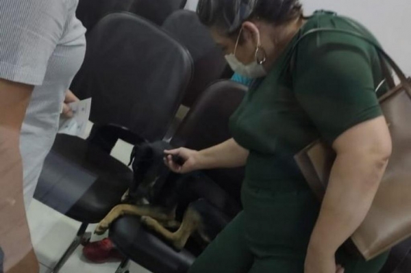 Foto: Portal Cidade Umuarama