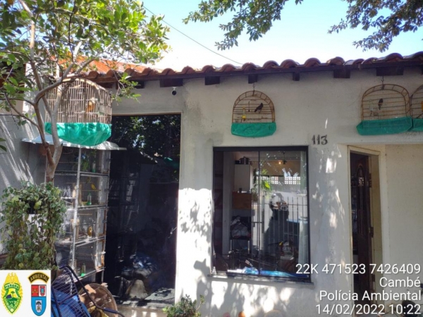 Foto: Polícia Ambiental.