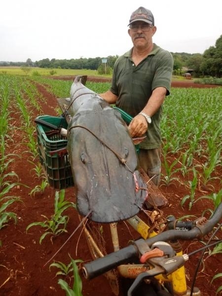 Fotos: Arquivo Pessoal 