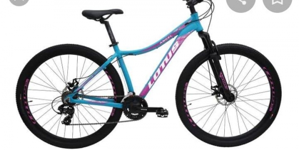 A bicicleta é idêntica a foto.
