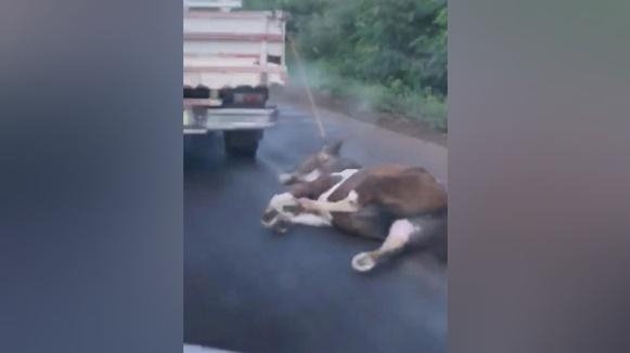 Foto Reprodução Rádio San