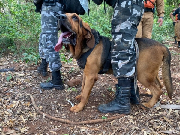 Fotos: Comunicação Social do BPFron