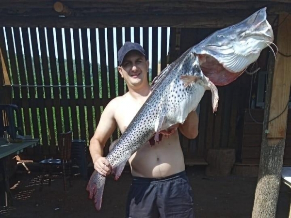 O Pintado foi o prato do dia do almoço desta sexta-feira para os amigos.(Foto: Ponto da Notícia/Reprodução)