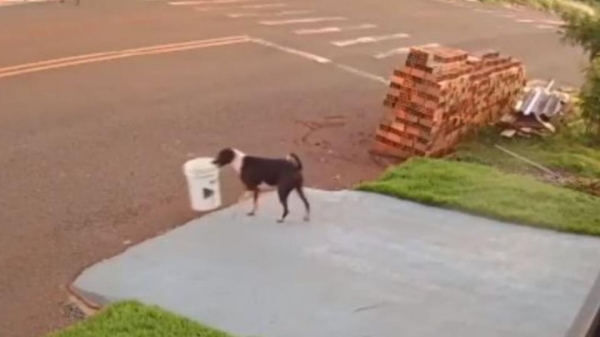 Mas o responsável pelo \