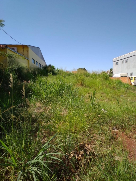 Lote abandonado em Nova Santa Rosa.(Foto: Colaborador)