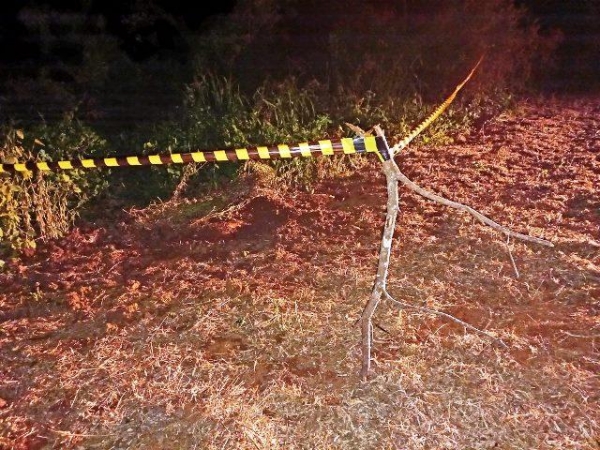 O corpo foi identificado neste domingo. (Foto: GoioNews/Reprodução)