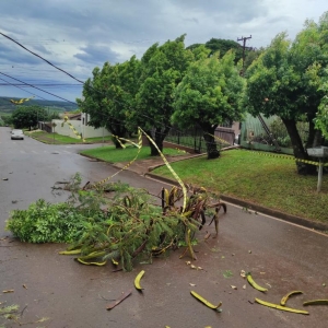 Fotos: Portal Rondon