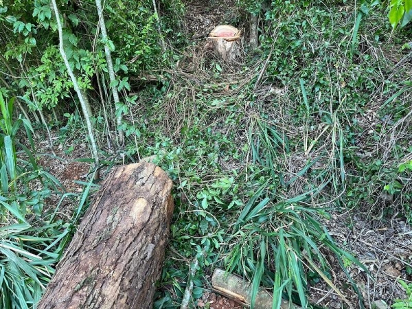 Fotos: Portal Nova Santa Rosa