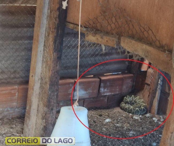 Fotos: Correio do Lago