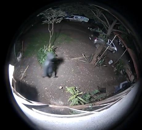 Imagens de câmera de segurança. Foto: Reprodução