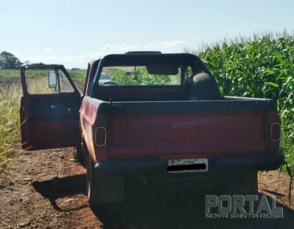 Foto: Portal Palotina