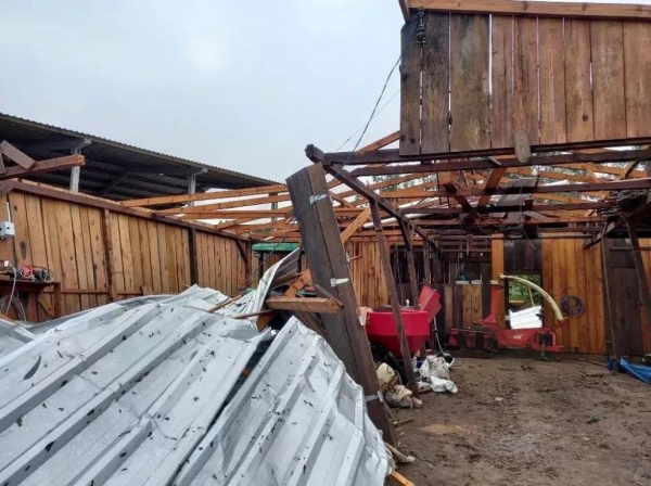 Tornado passou por Campo Alegre no domingo — Foto: Defesa Civil/Divulgação